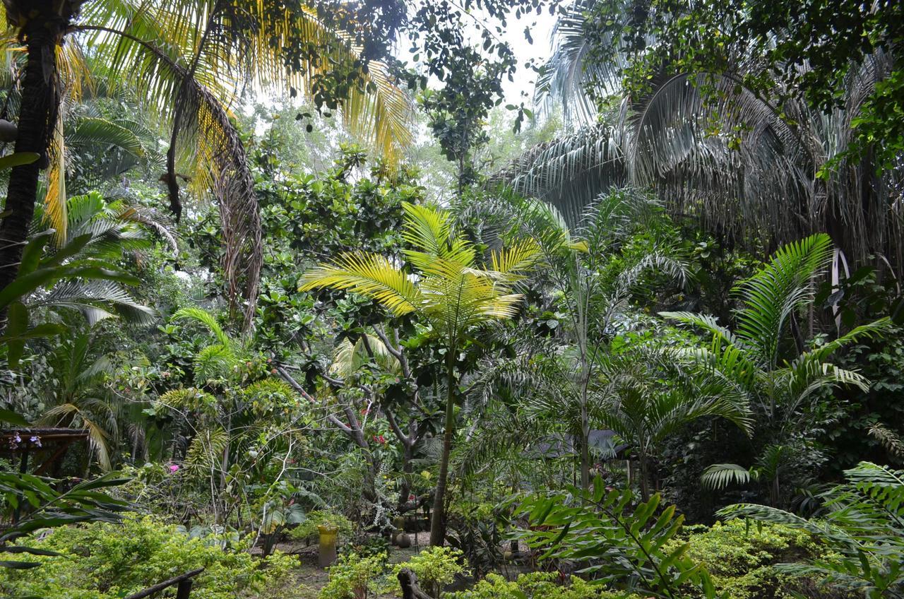 Amanwana Ecofinca Hotel Melgar Kültér fotó