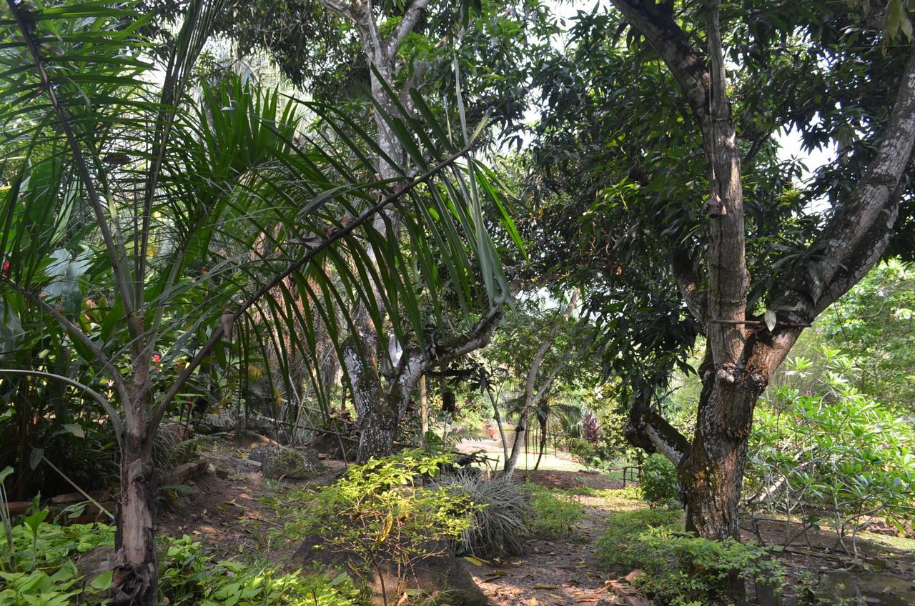 Amanwana Ecofinca Hotel Melgar Kültér fotó