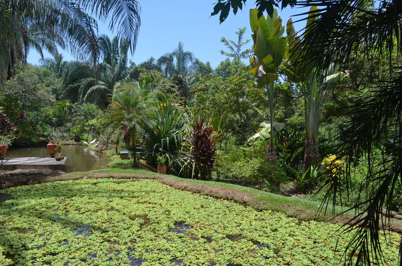 Amanwana Ecofinca Hotel Melgar Kültér fotó