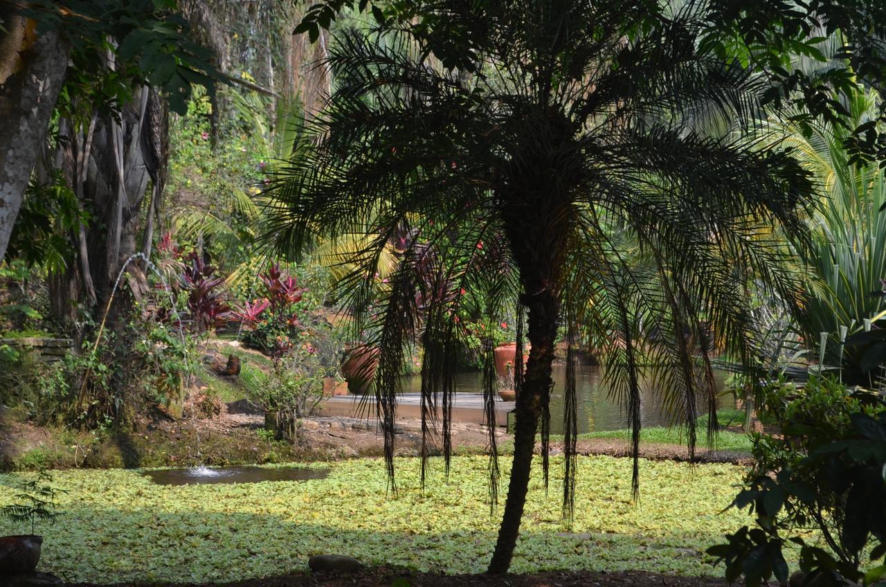 Amanwana Ecofinca Hotel Melgar Kültér fotó