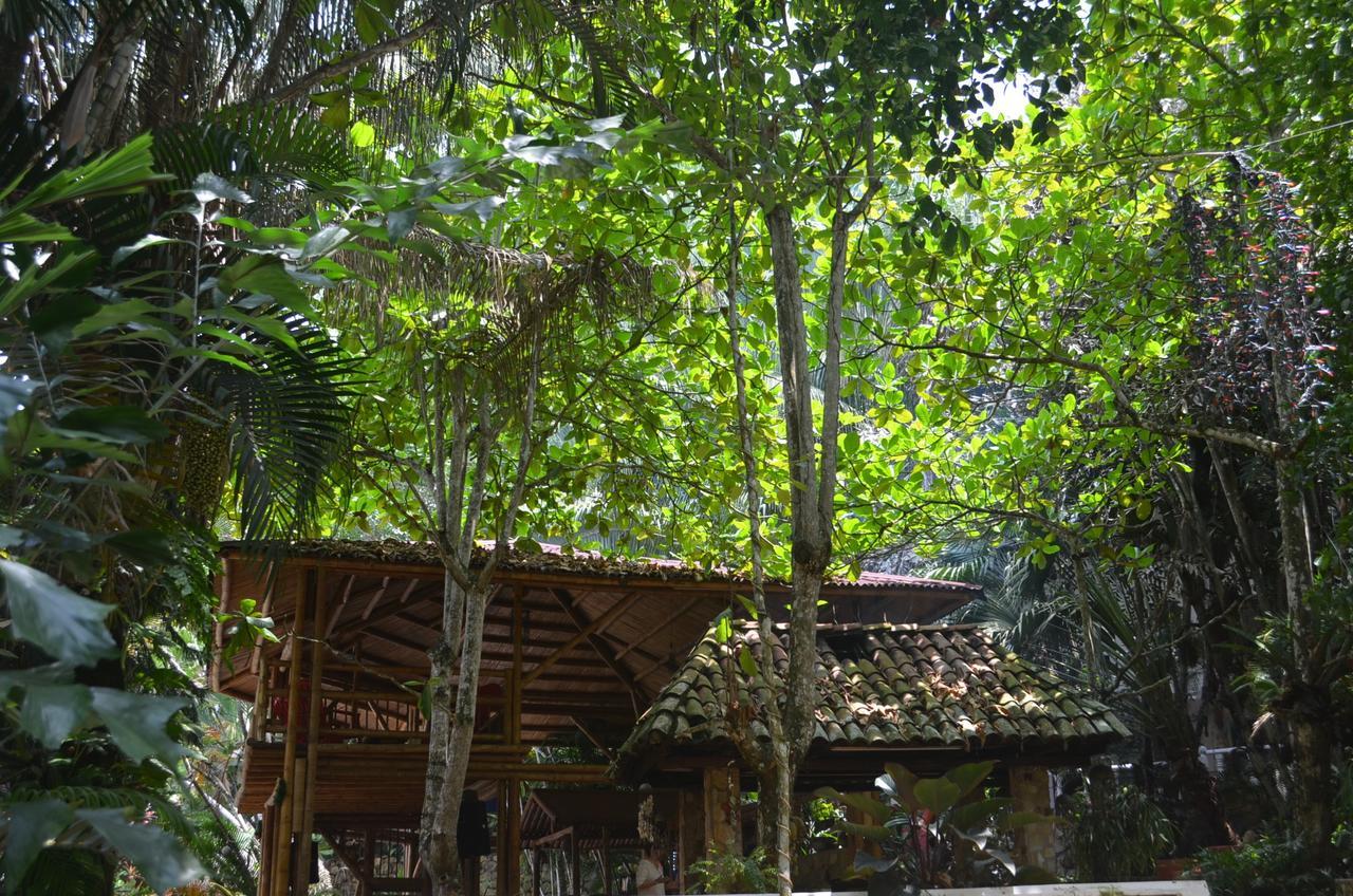 Amanwana Ecofinca Hotel Melgar Kültér fotó